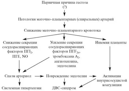 Патогенез преэклампсии