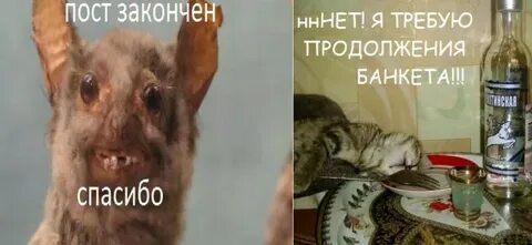 Любителям продолжений