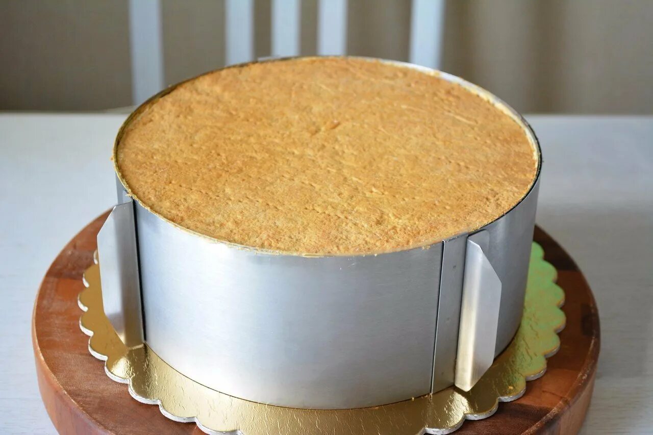диаметр коржей для торта. диаметр коржей для торта. диаметр коржей для торта. коржи бисквитные русский бисквит диаметр. корж невский бисквитный.