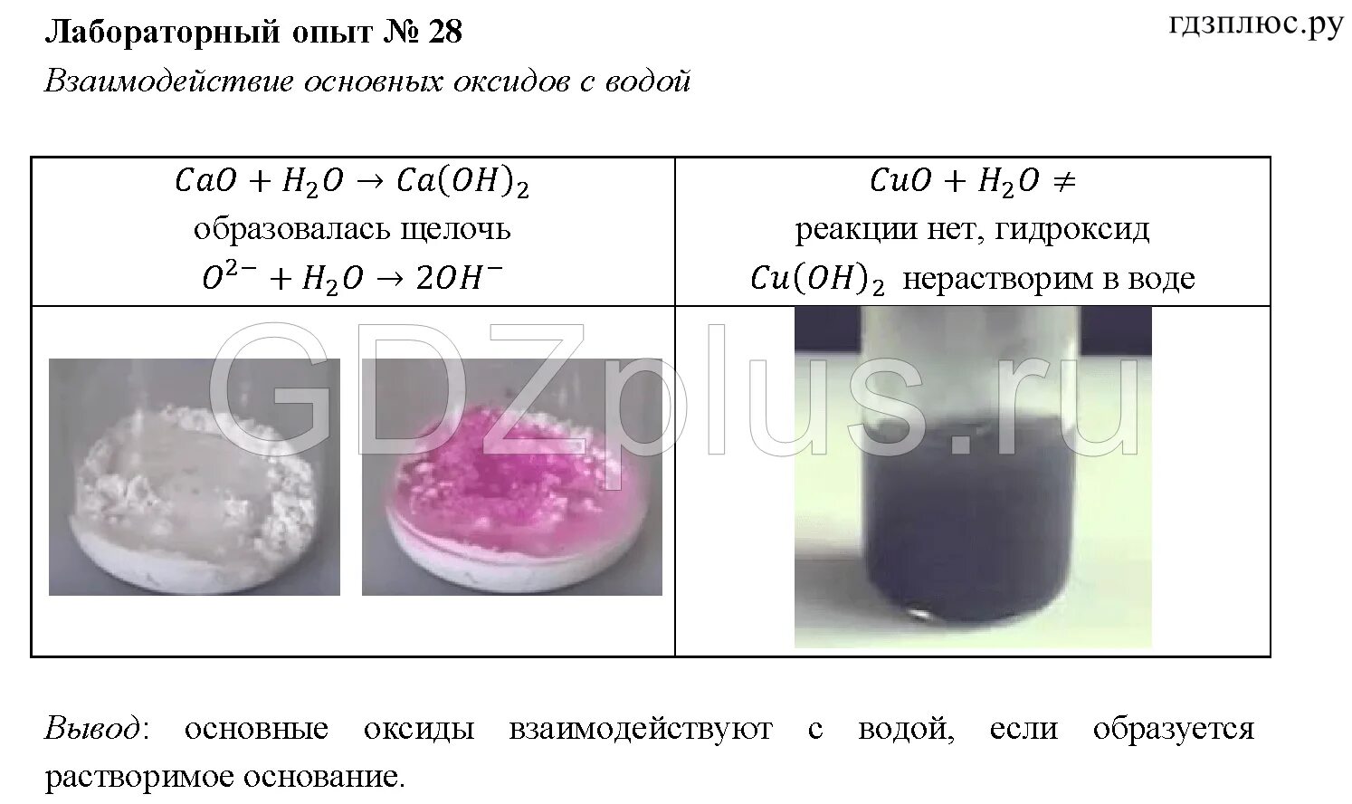 Растворение оксида меди в воде. Опыт 2 по химии 8 класс Габриелян лабораторный химии. Взаимодействие оксидов с водой химия 8 класс. Лабораторные опыты по химии. Опыты по химии 8 класс.