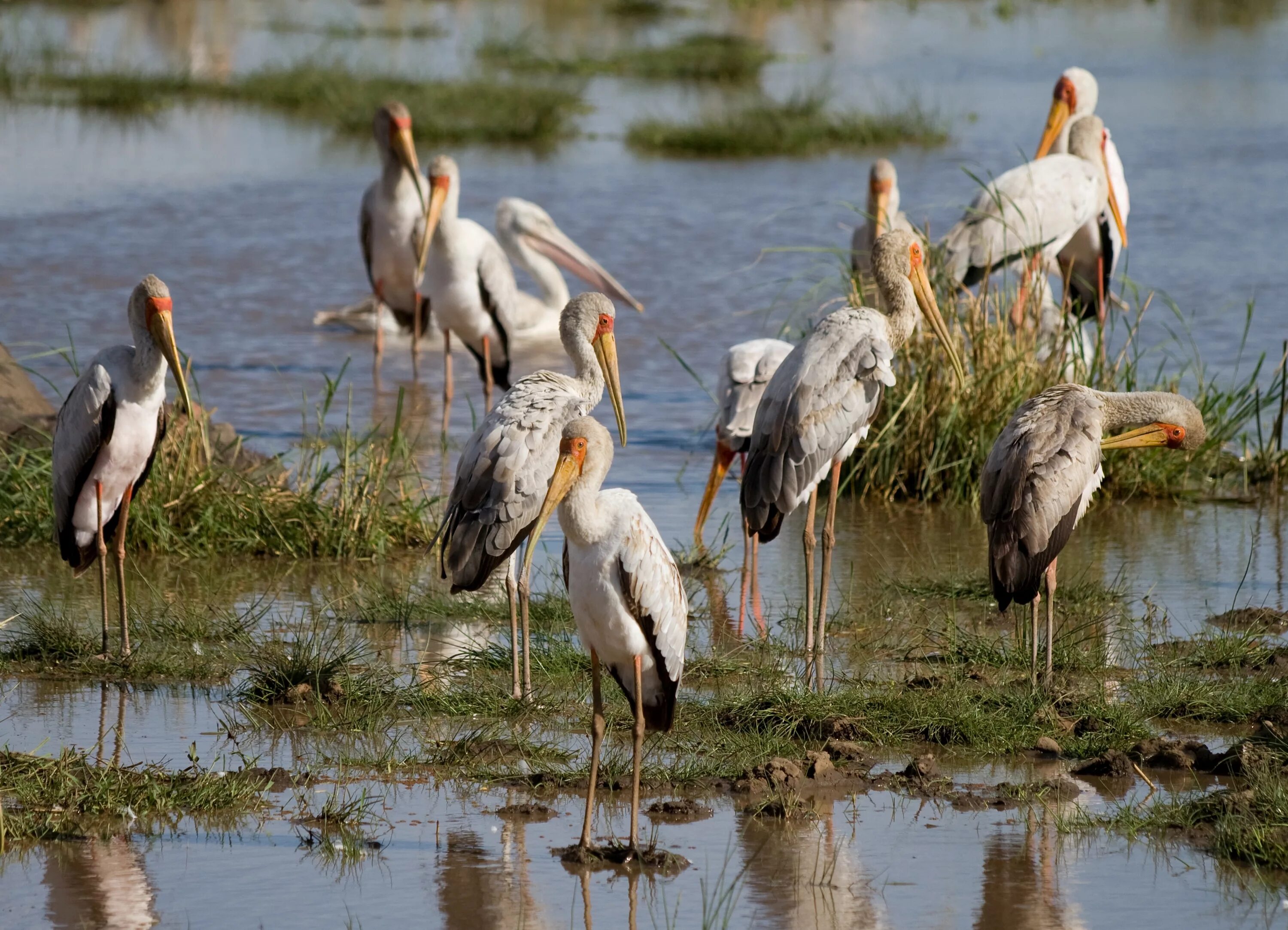 Рельеф озера байкал. Растения и животные озера. Озеро лейк маньяра. Легенда озера морской глаз чебоксары. Рельеф озера байкал.