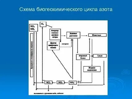 Составьте схему азота