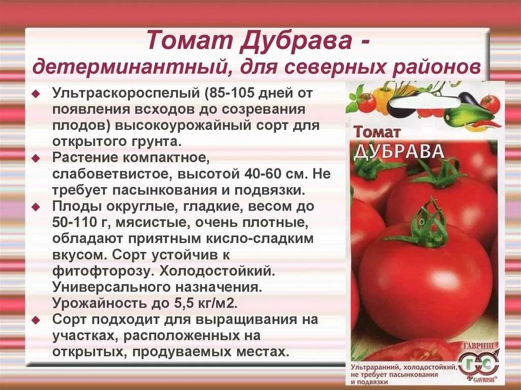 Сорт томатов дубрава описание сорта фото Одни из самых популярных сортов томатов, которые завязывают плоды и в жару и хол