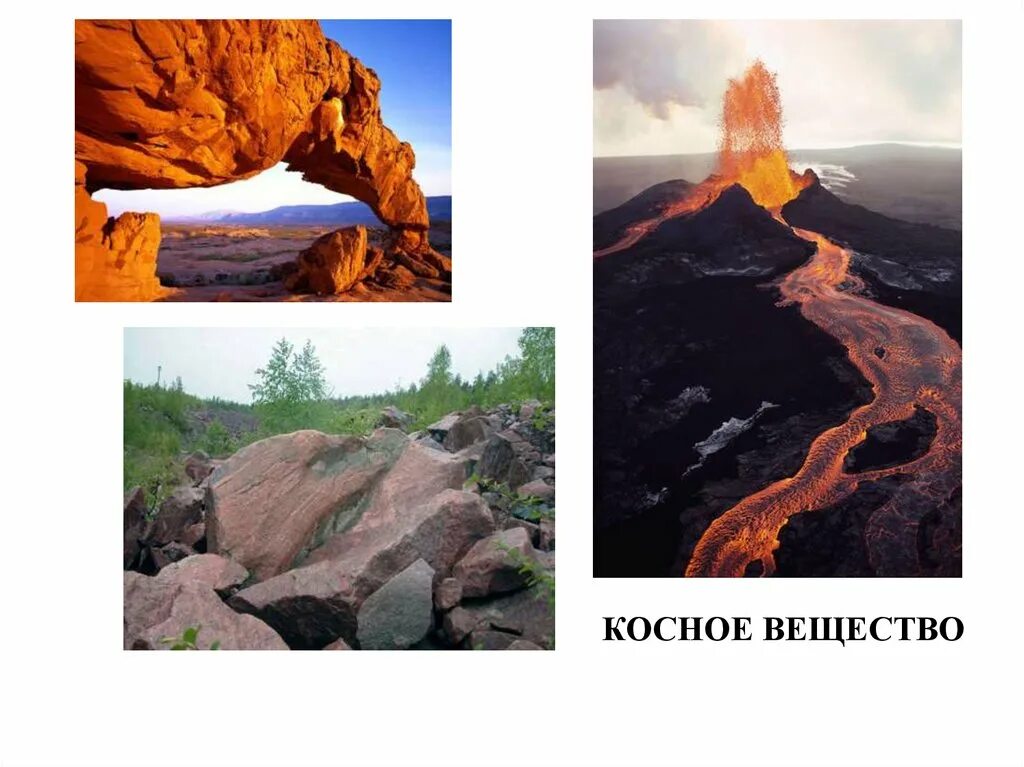 Биосфера живое вещество косное вещество биокосное вещество. Основные компоненты биосферы. Живое неживое вещество. Живое неживое вещество. Тела природы и изделия.