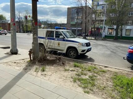 Поиски ярославль