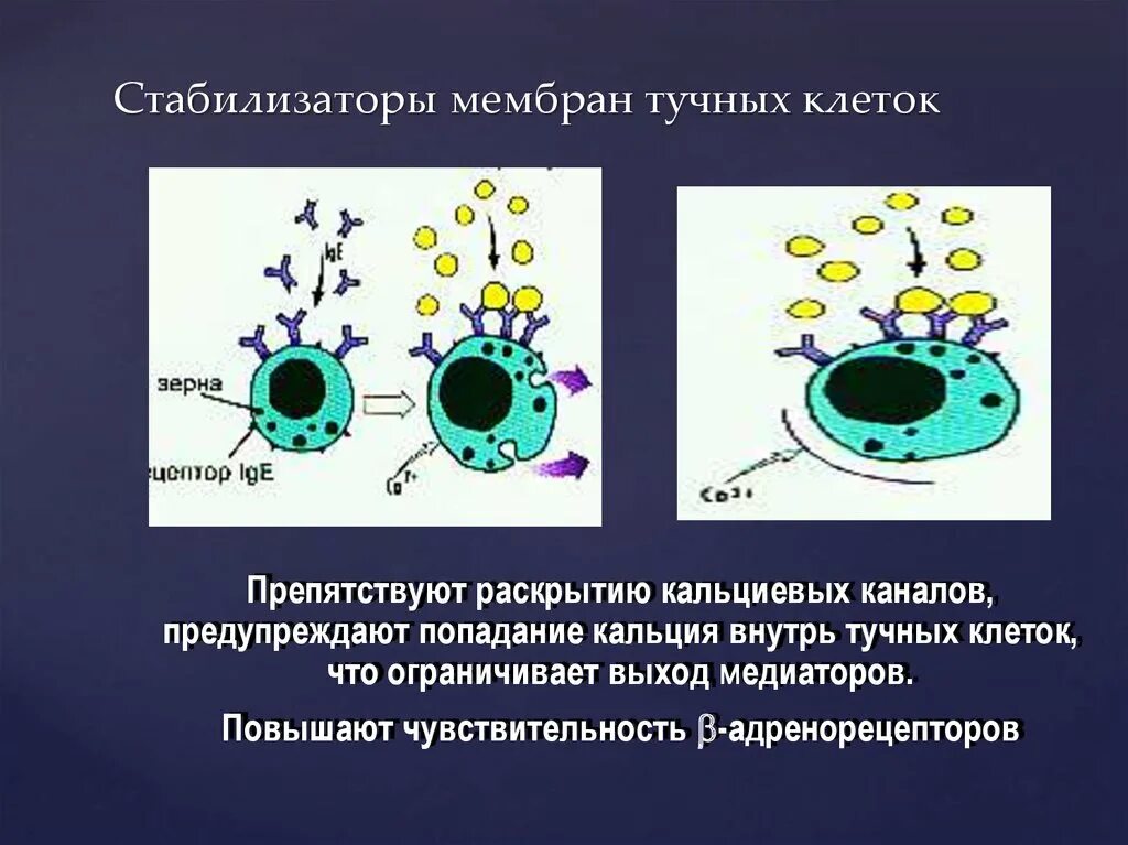 Стабилизатор мембран клеток препараты. Стабилизаторы мембран тучных клеток механизм. Стабилизаторы мембран тучных клеток Кромоглициевая кислота. Препараты стабилизирующие мембраны тучных клеток. Стабилизаторы мембран тучных клеток для кальция.