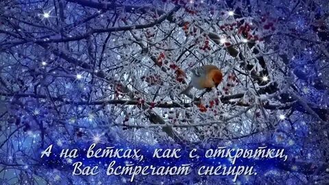 Тик ток зимы