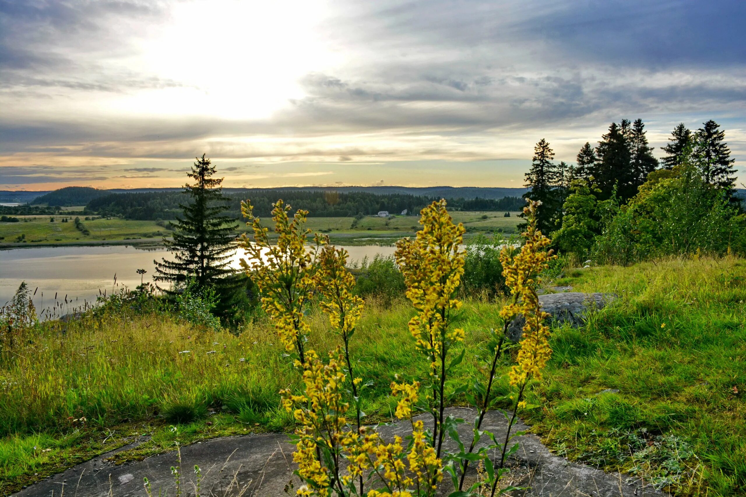 Парк ваккосалми карелия. Парк ваккосалми и гора кухавуори. Парк ваккосалми в сортавала. Кухавуори сортавала. Парк ваккосалми в сортавала.