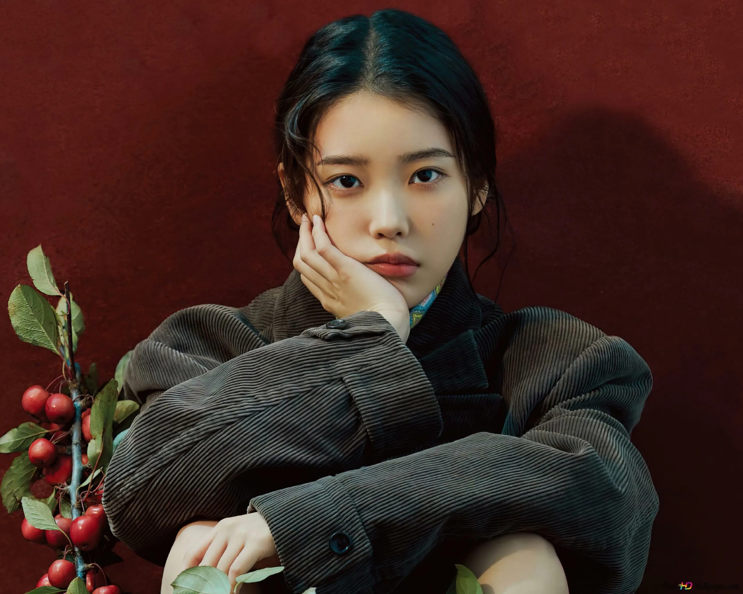 Ли джи ын личная жизнь. Ли Чжи Ын IU. IU Gucci. Ю Чжу Ын. Ли Джи-Ын 2023.