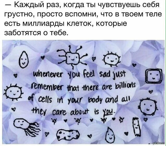 Чувствуется что когда он собирал материал