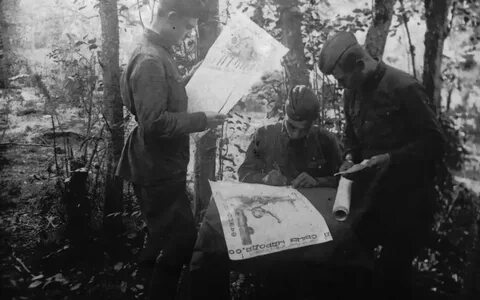 Полки 1942