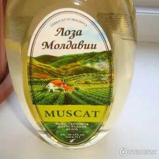 Вино лоза