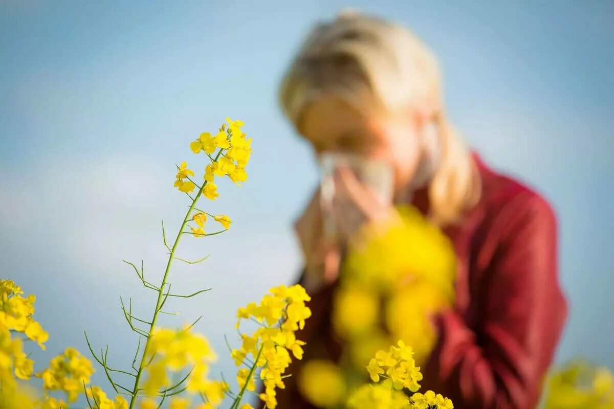 Без аллерген. Аллергия на пыльцу. Весенние аллергены цветы. Цветы для аллергиков.