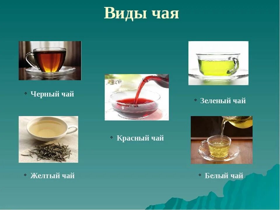 Чай напиток виды. Виды чая. Основные виды чая. Сорта чая для детей. Разновидности черного чая.