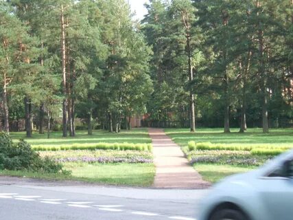 Комарово парк