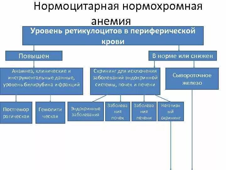 Нормохромная нормоцитарная анемия. Причины нормохромной нормоцитарной анемии. Нормохромная нормоцитарная анемия анализ крови. Нормоцитарная анемия классификация.