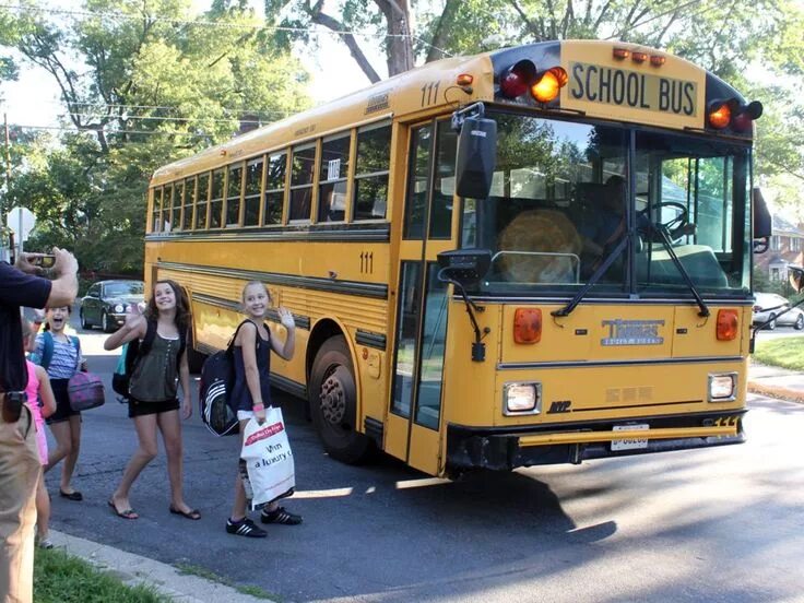 I get to work by bus