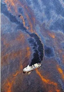 Разлив нефти в мексиканском заливе 2010