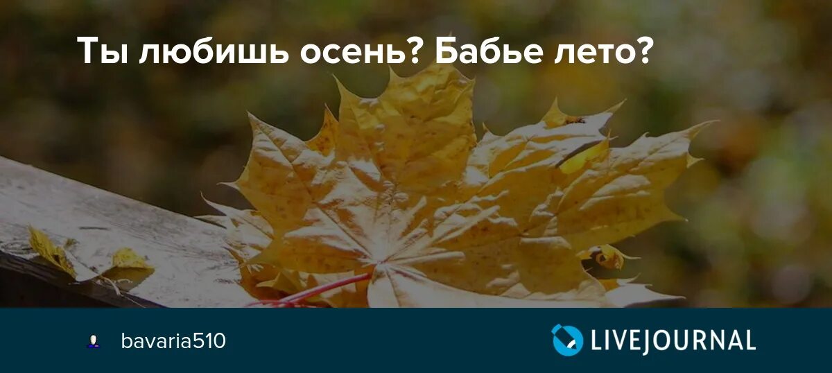 Бабье лето стих. Открытки осень. Бабье лето. Это осень злую осень бабье лето. Это осень злую осень бабье лето.