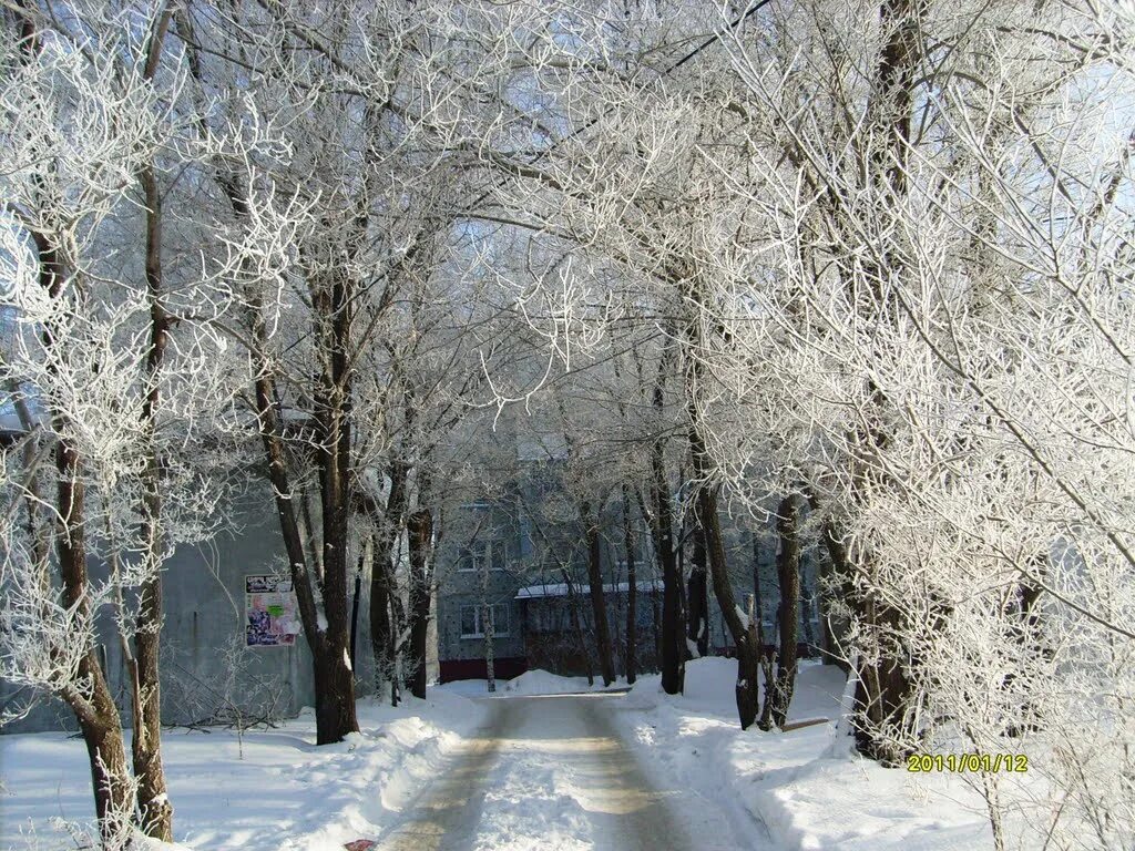 зимний любинский адрес. омск зимой 2022 любинский. зимний любинский адрес. любинский проспект омск зима. зимний любинский адрес.