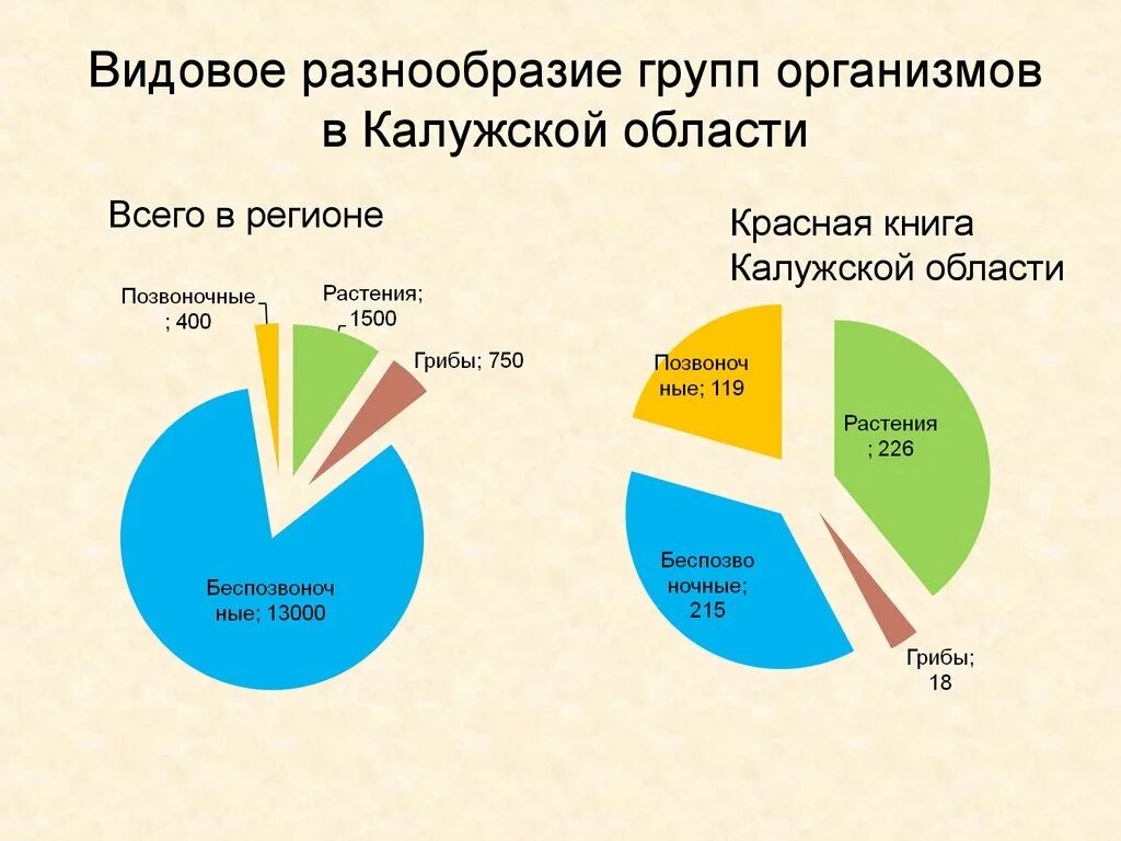 Видовое разнообразие людей. Видовое разнообразие. видовое разнообразие организмов. видовое разнообразие это кратко. видовое разнообразие животных диаграмма.