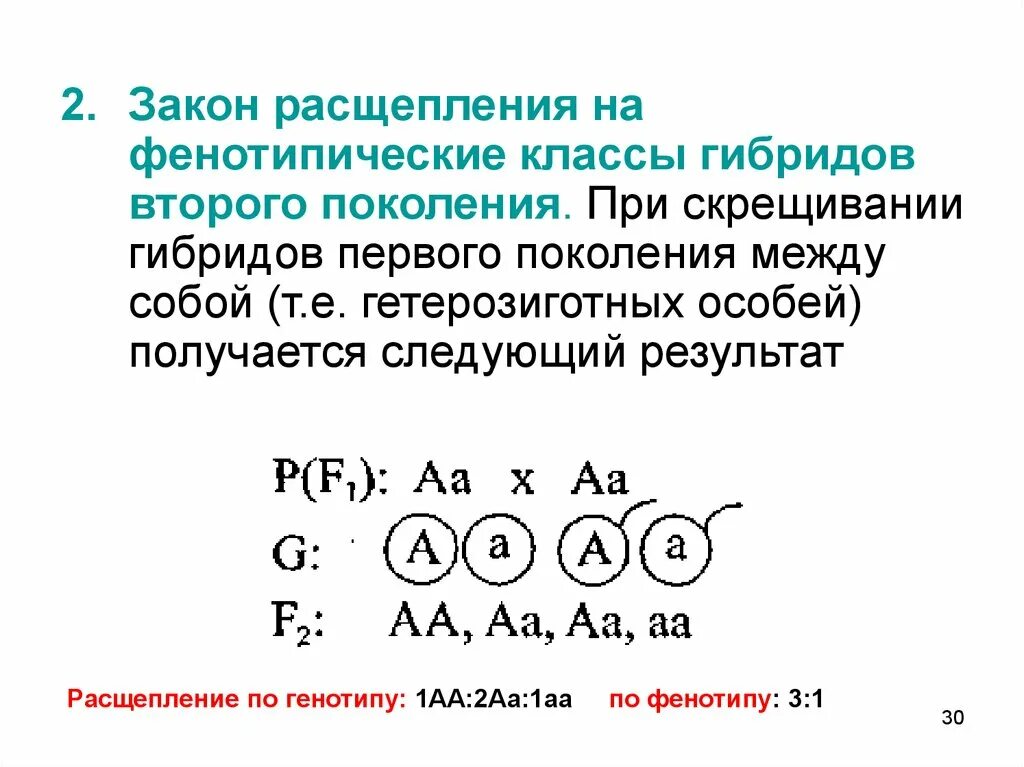 Закон расщепления. Закон расщепления гибридов второго поколения. Закон расщепления признаков у гибридов второго поколения. Расщепление по генотипу.