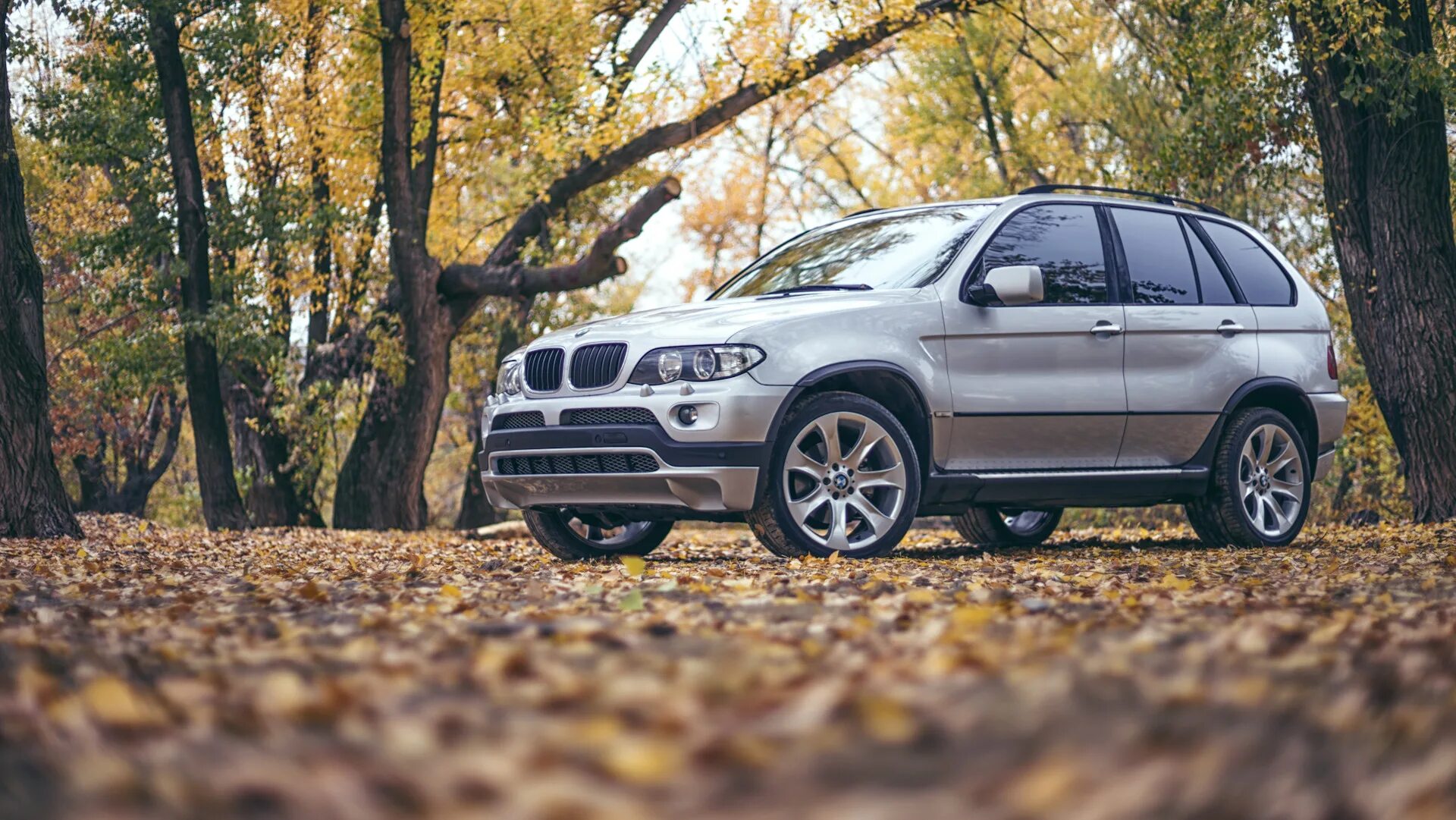 Стили бмв х5 е53. Bmw x5 e53. 168 стиль бмв х5 е53. бмв x5 e53 469 стиль. брус на bmw x5 e53.
