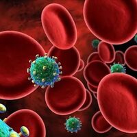 СПИД (синдром приобретенного иммунодефицита) : основные признаки и симптомы заболевания, тесты и тестирование больного, лечение болезни, осложнения, профилактика 