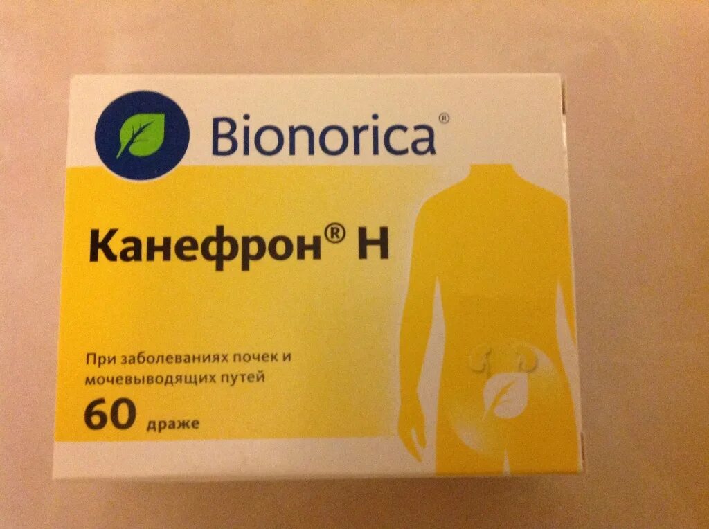 Канефрон таблетки пить до или после еды. Канефрон. Канефрон таблетки. Таблетки от почек канефрон. Препараты для почек беременным.