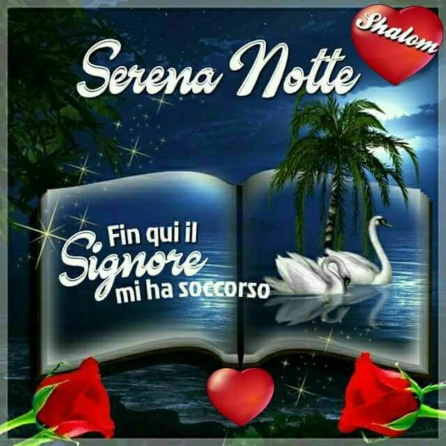 Dolce notte. Buona notte вино. Dolce notte картинки.