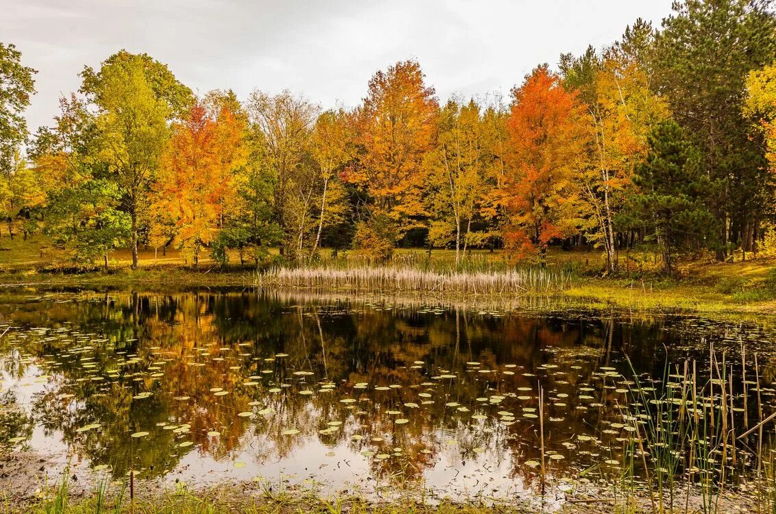 река ухра осень. осенний пейзаж. осень озеро. николина гора река осень. осенний пейзаж с речкой.