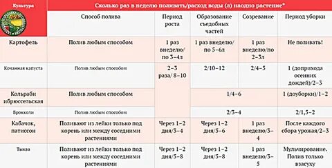 Сколько раз зимой поливать
