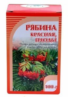 Описание плода рябины