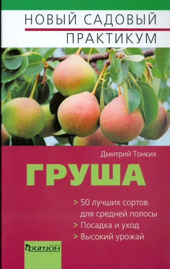 Груша кнэши. Книга груши. Книга груши. Груша кнэши. Книга груши.