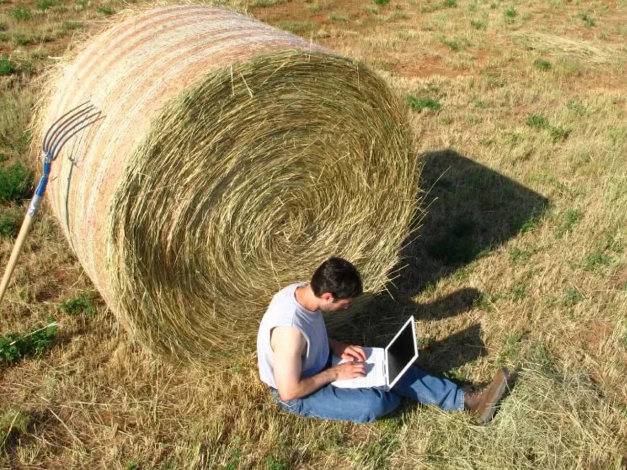 В каких сферах заняты жители сельской местности. Интернет в деревне. Интернет в сельской местности. Высокоскоростной интернет в деревне. Интернет в селе.