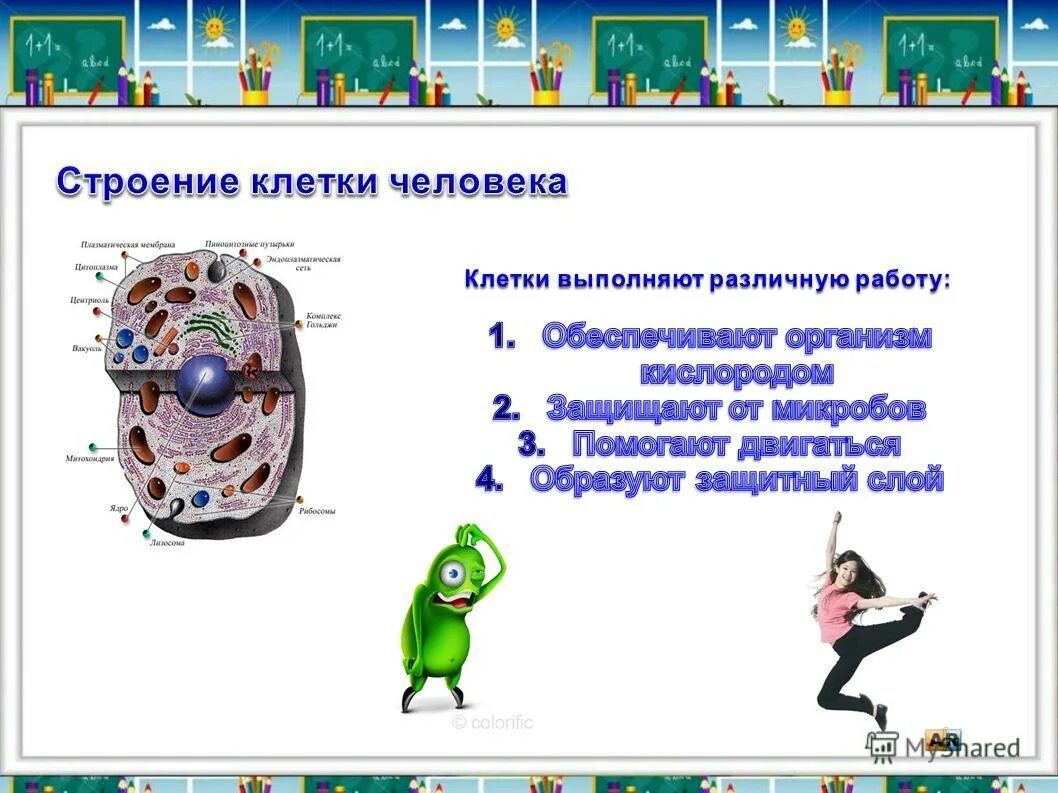 путешествие в мир клеток 4 класс. строение клетки 4 класс. путешествие в мир клеток. путешествие в мир клеток 4 класс. путешествие в мир клеток 4 класс.