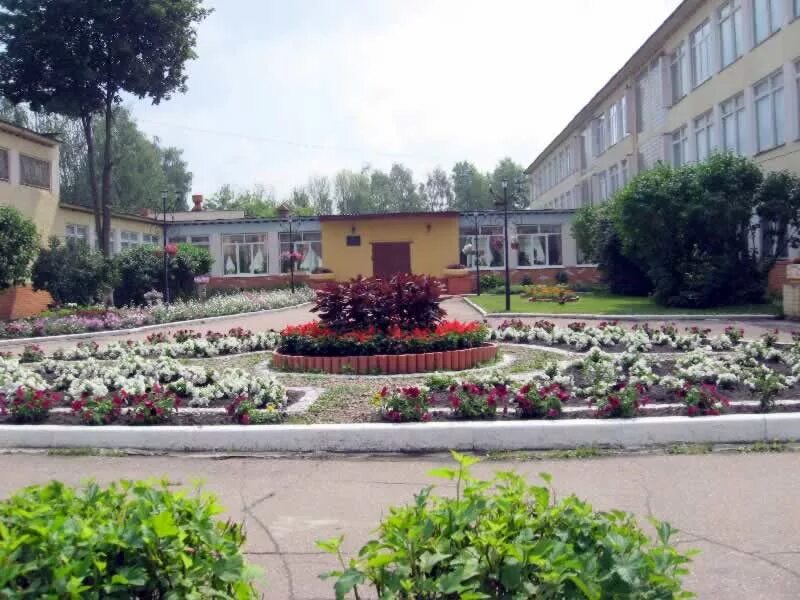 электроугли улица парковая дом 14. школа 33 электроугли праздник приема в первый класс. школа 1504 учитель географии. учителя 1504 школа иностранный. школа 30 электроугли.