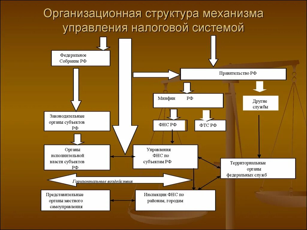 Фискальные налоговые органы. Структура налоговой службы РФ схема. Структура управления ИФНС России. Организационная структура ИФНС РФ. Организационная структура ФНС РФ схема.