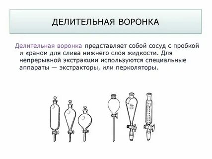 Воронка это в биологии