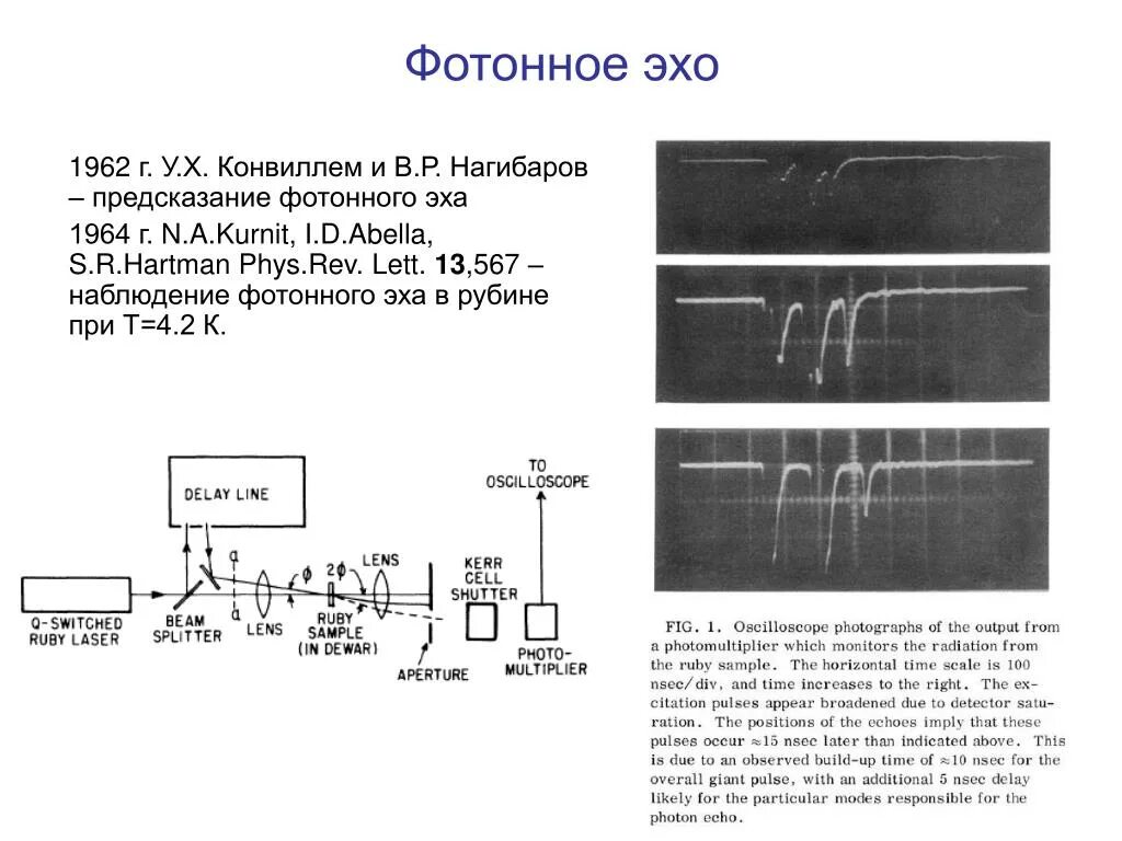 Эхо гостомеля. Эхо. Схема работы фотонного Эха. Эхо примеры. Спиновое Эхо.