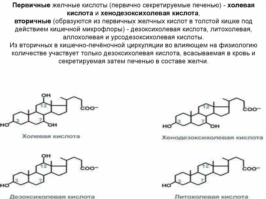 Первичные вторичные и парные желчные кислоты. Первичные и вторичные желчные кислоты биохимия. Третичные желчные кислоты формулы. Структура первичных желчных кислот.