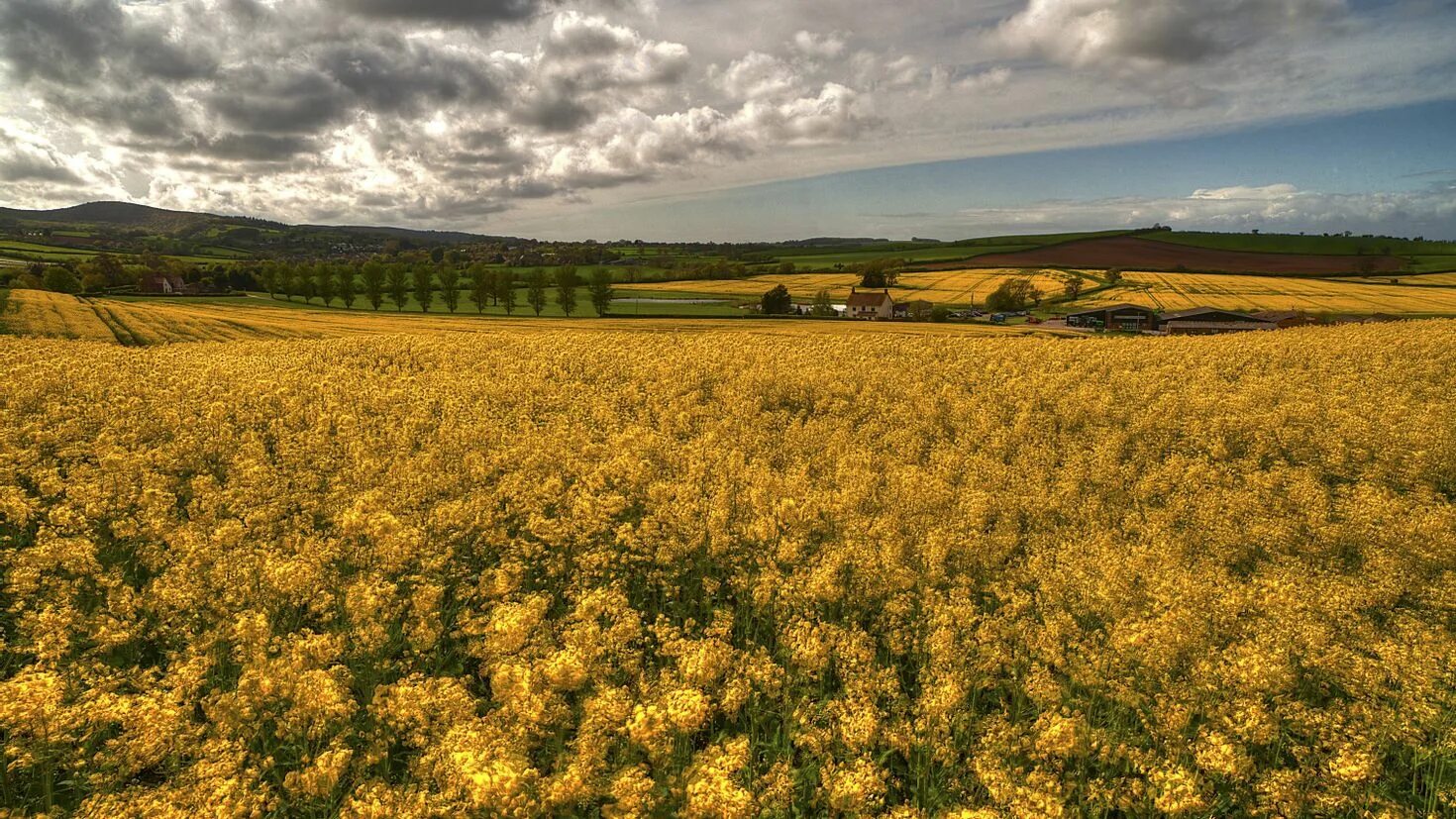 Солнце желтое в италии. Оренбург горизонт степь. Обои : солнечный лучик, пейзаж, пища, природа, поле, утро. Шестое поле. Шестое поле.