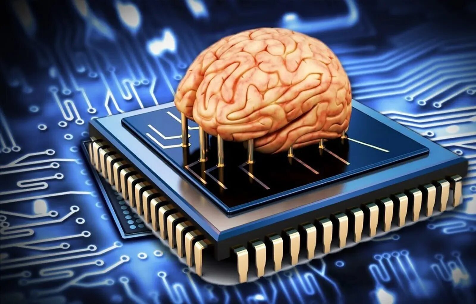 Монитор процессора и памяти. Мозг компьютера. Мозг процессор. Нейронные процессоры. Мозг человека компьютер.