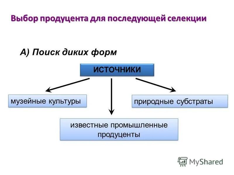 биосинтез лимонной кислоты из щавелевоуксусной кислоты. продуцент лимонной кислоты. схема микробиологического получения уксусной кислоты. витамины микробиология.