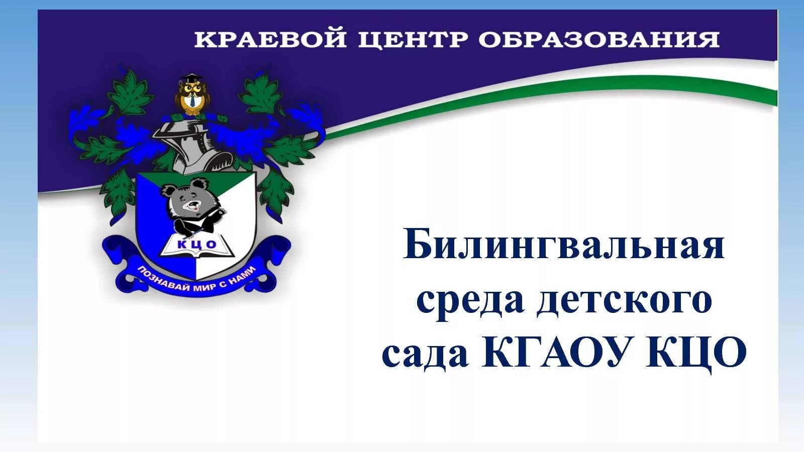 Билингвальная среда. Краевой центр образования хабаровск. кгаоу кцо. кцо хабаровск детский сад. билингвальная среда в детском саду.