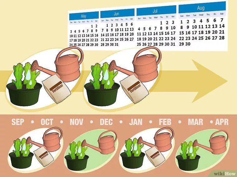 Календарь ухода за комнатными растениями март 2024. График полива комнатных растений. Календарь полива кактусов. График полива цветов таблица. График ухода за растениями.