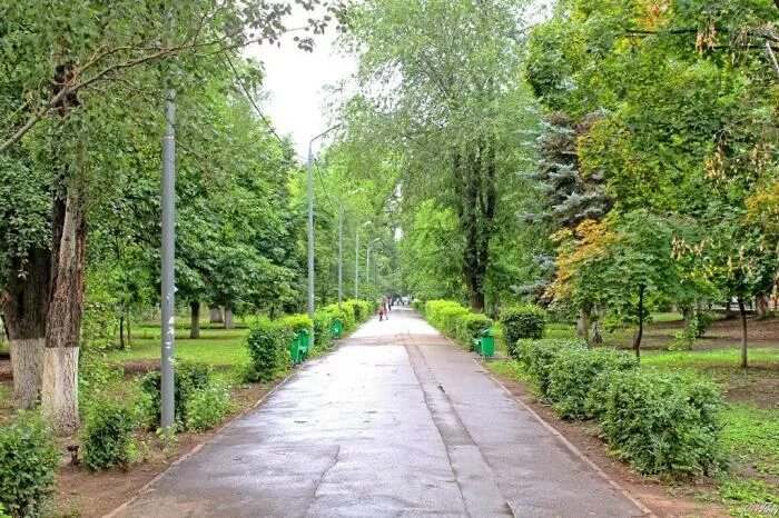 Аллея волжская ул 28 фото Петиция Остановить загрязнение атмосферного воздуха в Волжском и Средней Ахтуб