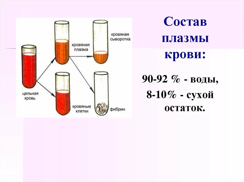 Что такое плазма крови? Состав плазмы.. Состав крови плазма и сыворотка крови. Схема состав плазмы крови. Плазма крови схема. Объем жидкой части крови