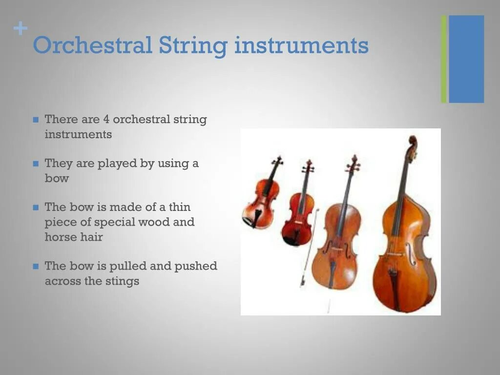 Orchestra instruments. Orchestral instruments. String instruments. Orchestra stringed instruments. String instruments are.