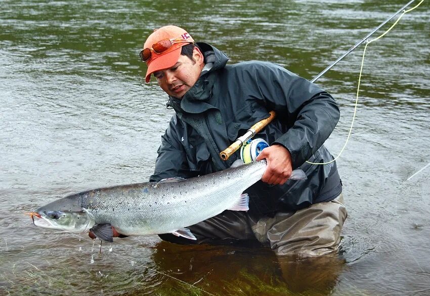 программа рыбак